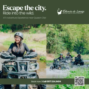 promo_offer_atv copy
